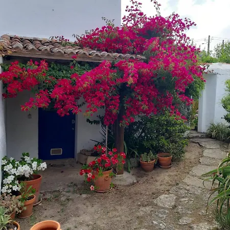 Casa Do Sobral וילה אובידוס