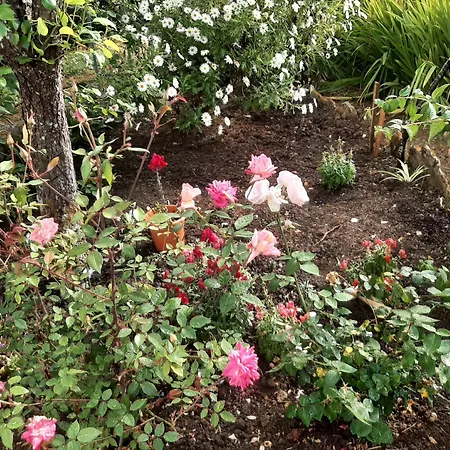 Casa Do Sobral Óbidos