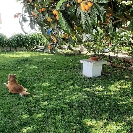 Villa Casa Do Sobral *