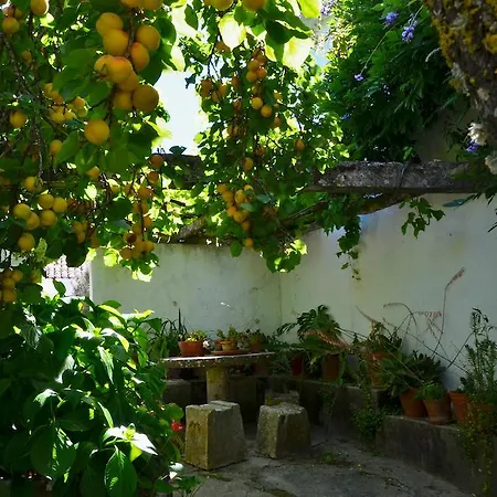 וילה Casa Do Sobral *
