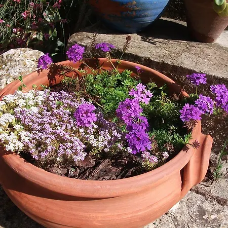 فيلة Casa Do Sobral Óbidos