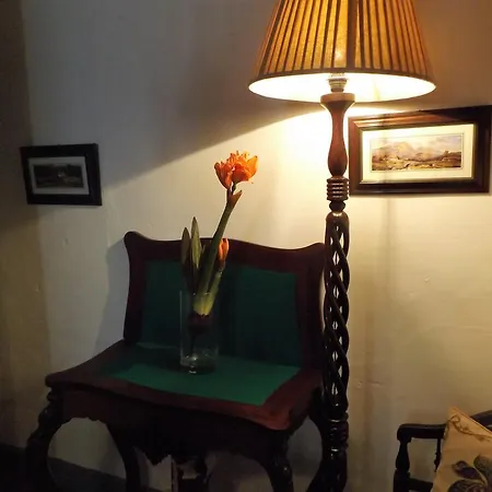 Casa Do Sobral فيلة *