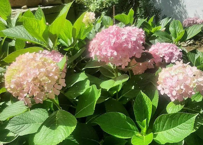 Villa Casa Do Sobral