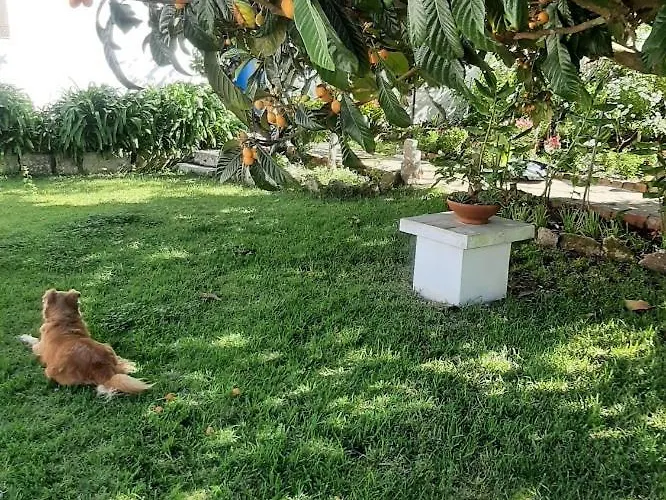 Villa Casa Do Sobral *