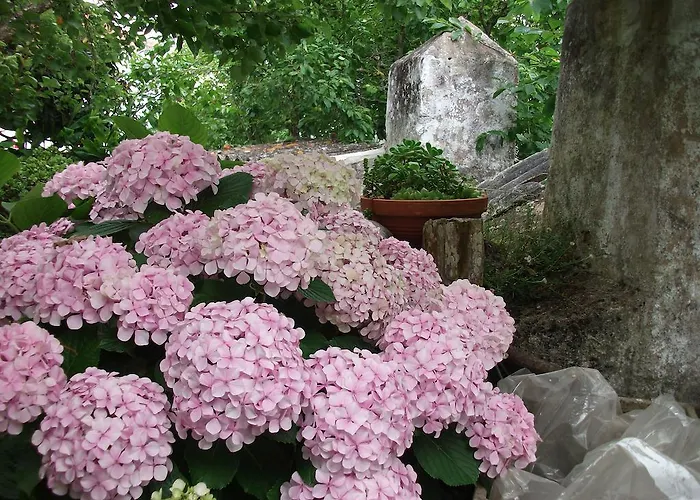 Villa Casa Do Sobral Óbidos