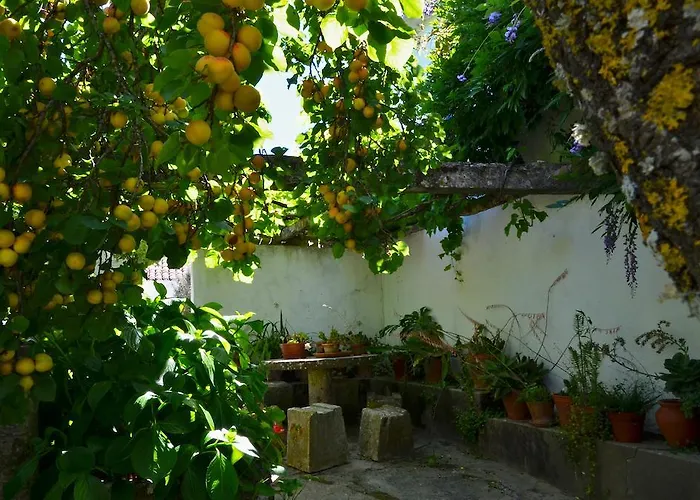 Villa Casa Do Sobral *