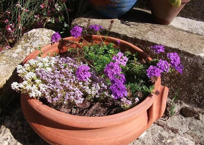 Villa Casa Do Sobral Óbidos