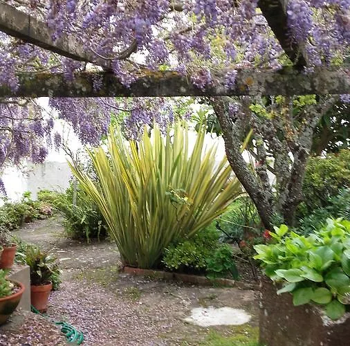 Casa Do Sobral * Óbidos